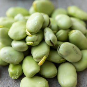 Seed Needs Henderson Lima beans heritage discovery illustration on packet.