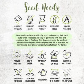 Seed Needs Henderson Lima beans open-pollinated non GMO seeds.