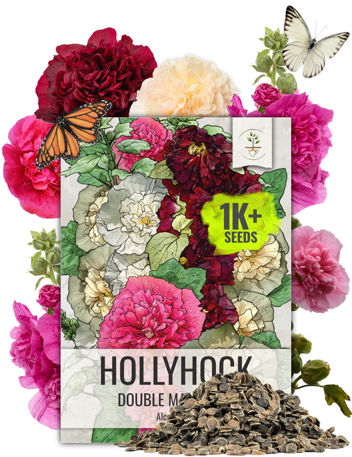Seed Needs Hollyhock Double Majorette bloom close-up with pom-pom petals for cottage borders.