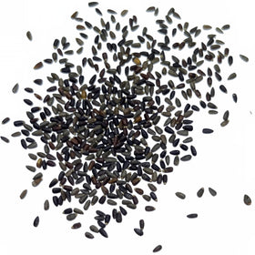 Hyssop garden border with Seed Needs seeds ready to plant.