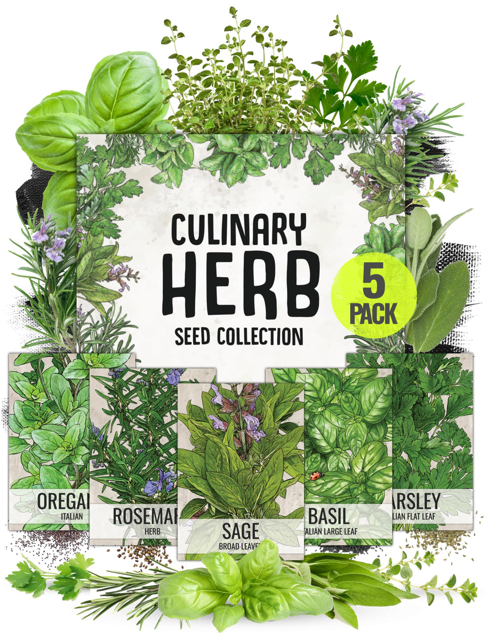 Seed Needs Italian Basil seeds packet for fresh kitchen basil, ideal for quick weeknight pasta