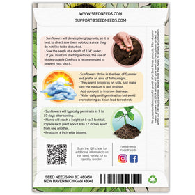 Seed Needs Italian White Sunflower seeds germinating in nutrient-rich soil under sun.