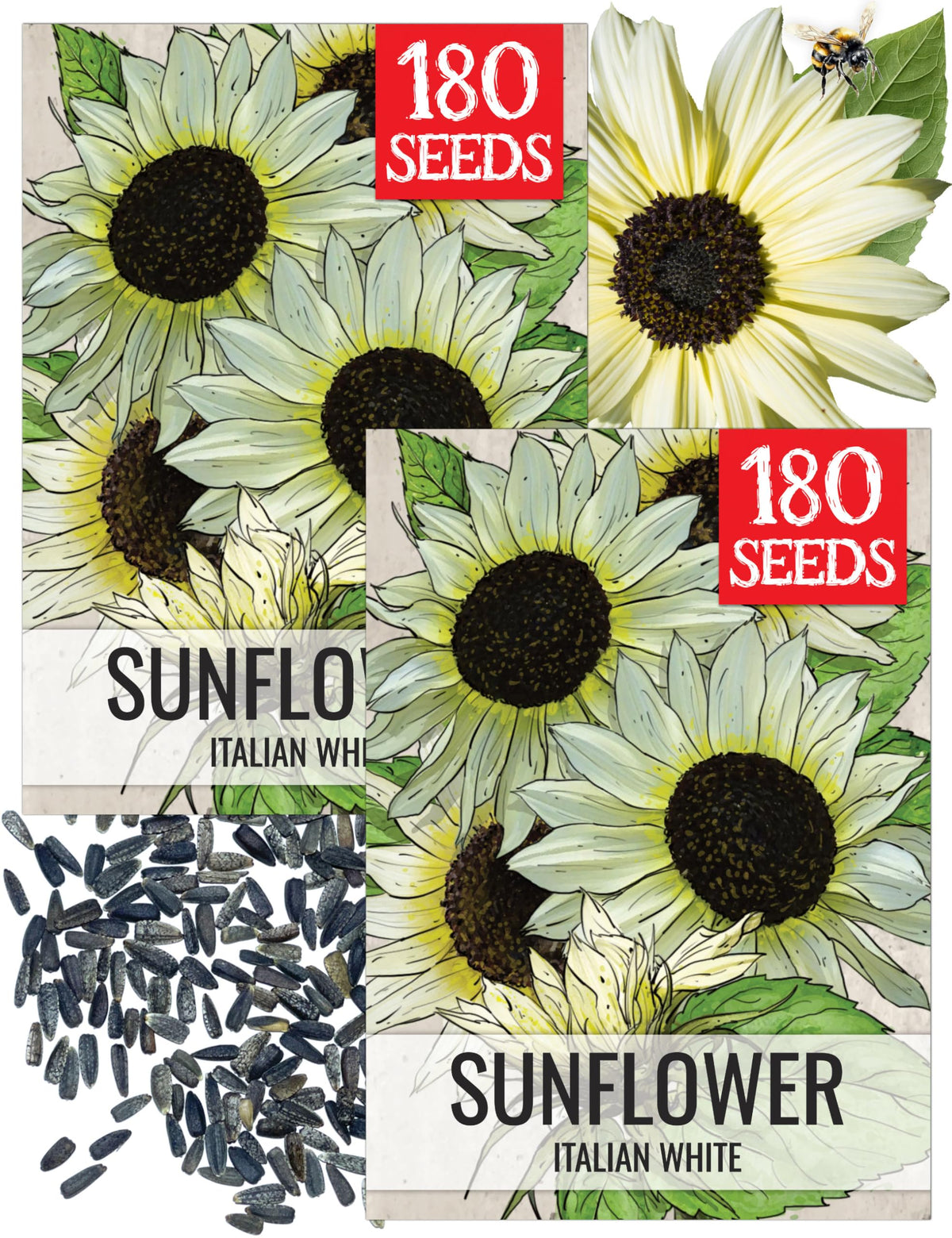 Seed Needs Italian White Sunflower seed packet with illustration and sowing tips.