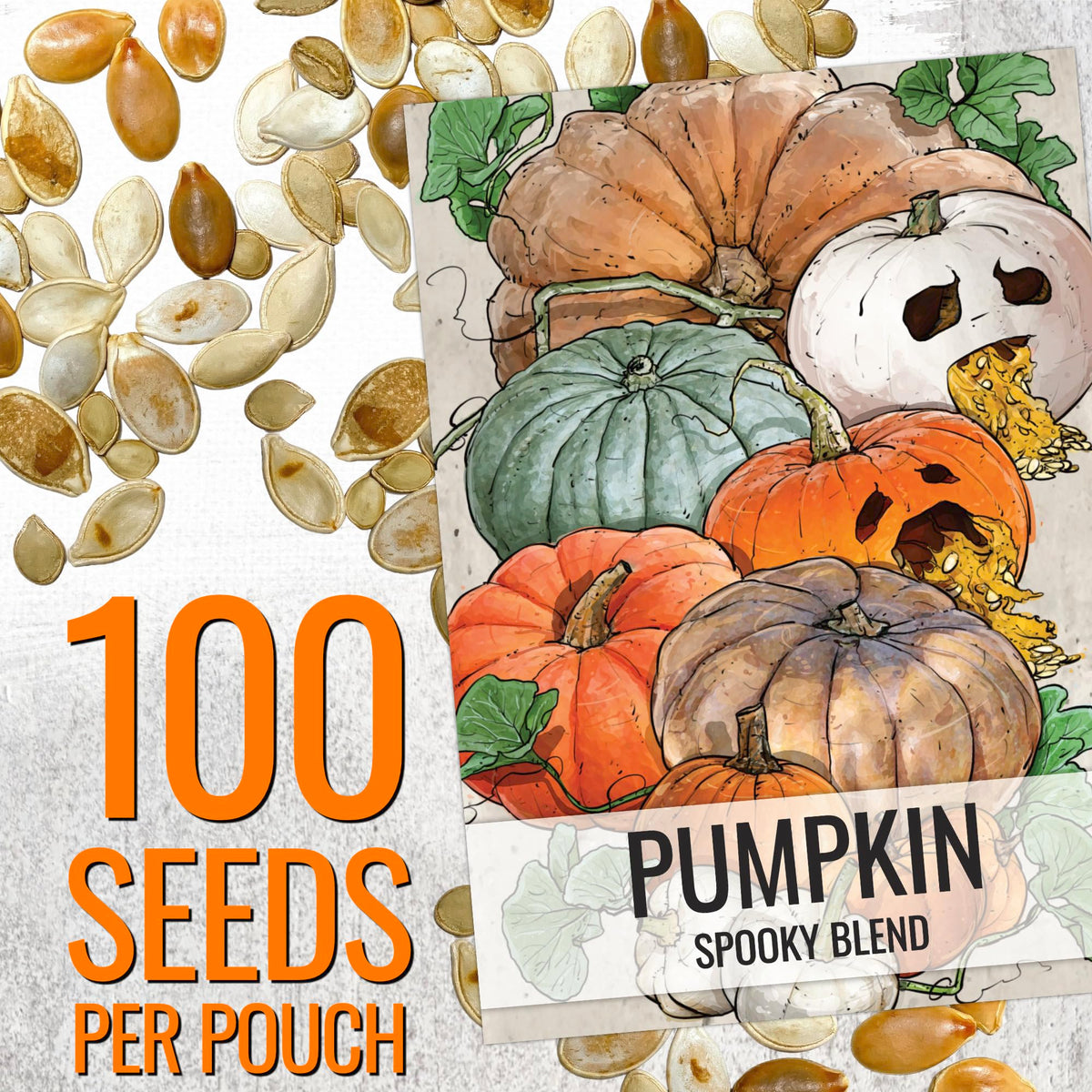 Seed Needs Jack O' Lantern variety illustration for decorative pumpkins