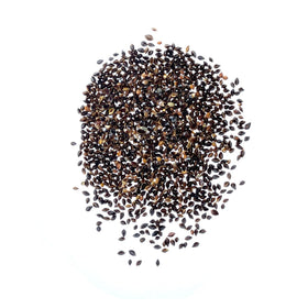 Seed Needs large leaf sorrel plant height; sturdy 18-24 inch clump in garden.