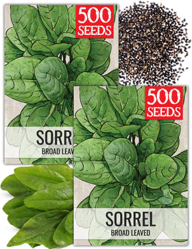 Seed Needs large leaf sorrel seed pack cover; ideal for planting in a home garden.