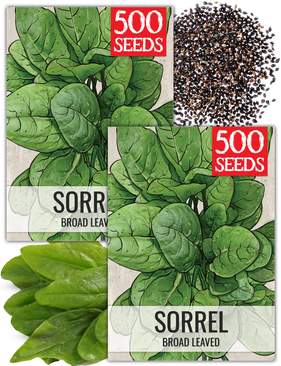 Seed Needs large leaf sorrel seed pack cover; ideal for planting in a home garden.