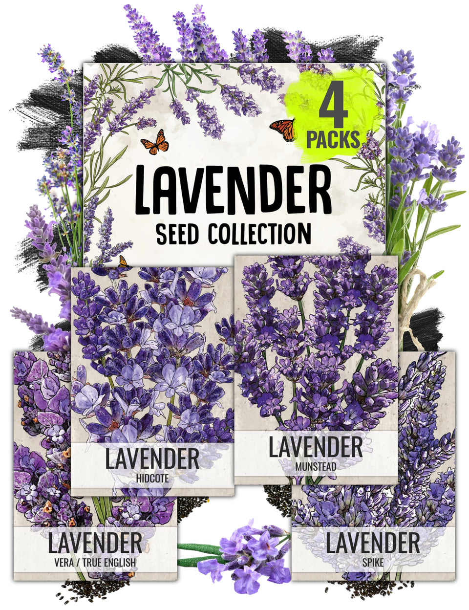 Seed Needs Munstead lavender seed packet for easy backyard planting and fragrant blooms.