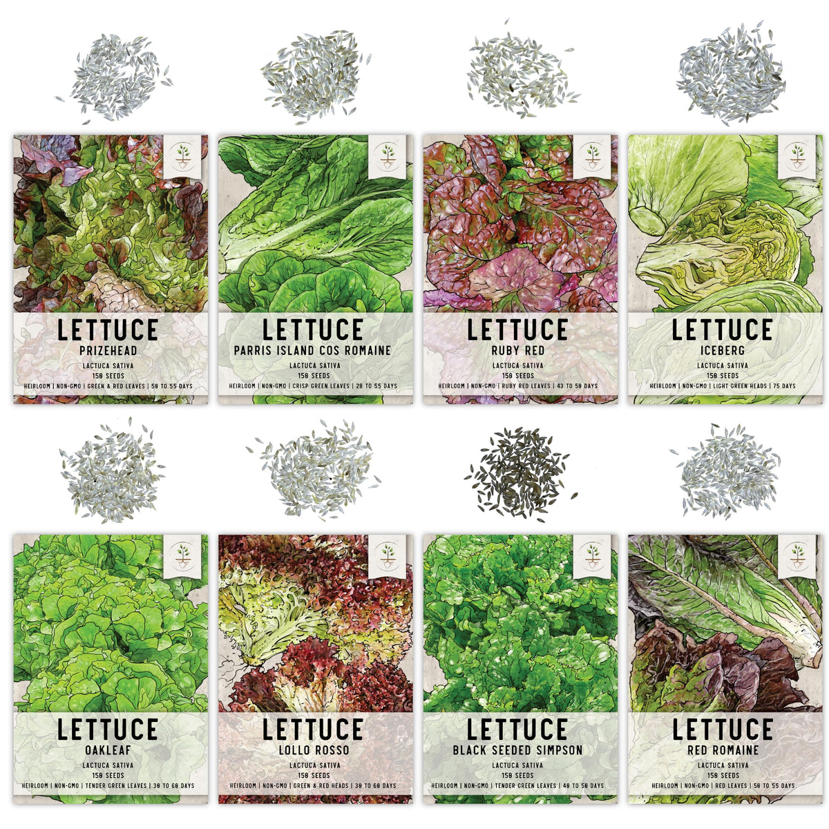 Seed Needs Lettuce Lollo Rosso packet for colorful greens.