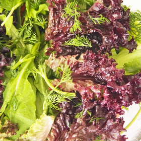 Seed Needs moisture-resistant packaging protects seed freshness for storage