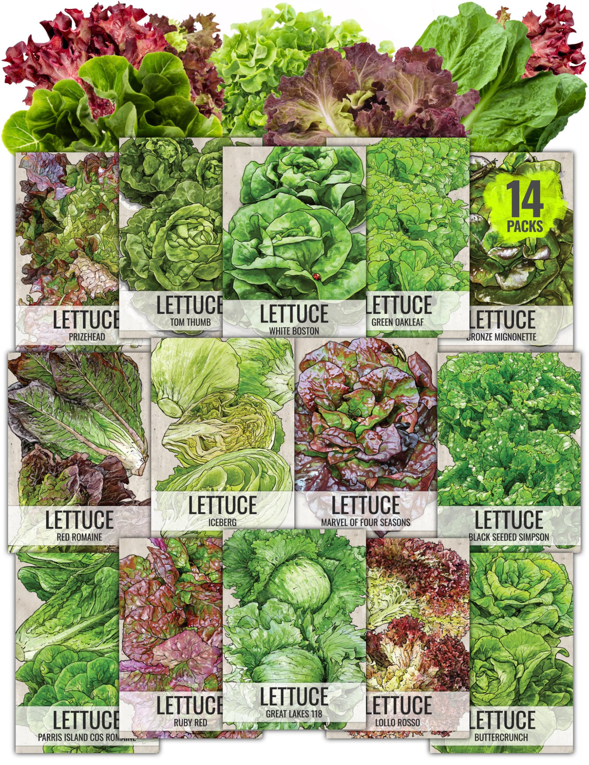 Seed Needs lettuce variety-pack cover shows diverse varieties for home garden planning