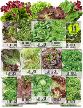 Seed Needs lettuce variety-pack cover shows diverse varieties for home garden planning