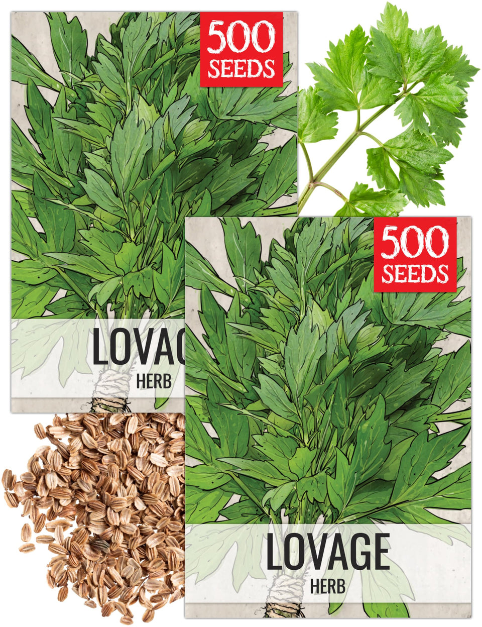 Seed Needs Lovage seeds packaging artwork for home gardens