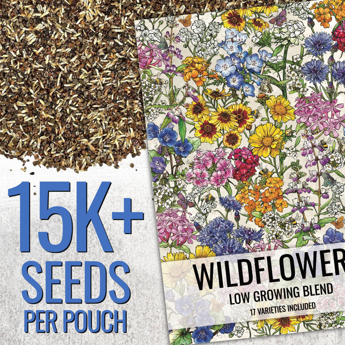 Seed Needs wildflower seed mix in a sunlit border demonstrates colorful pollinator habitat