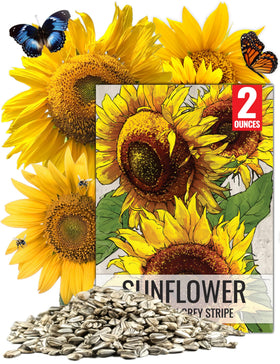 Seed Needs Mammoth Grey Stripe seed packet front for tall, heirloom sunflowers.