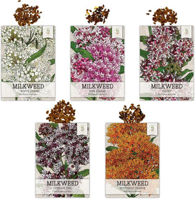 Seed Needs pink-orange-white milkweed mix for easy butterfly garden planning.