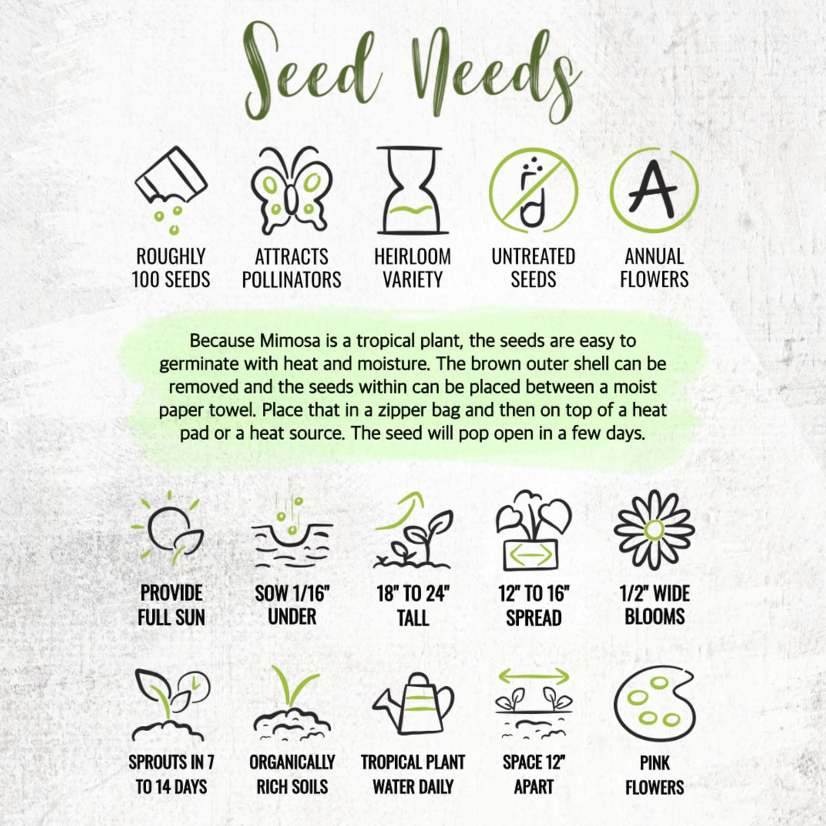 Seed Needs Mimosa pudica germination details for quick seedlings.