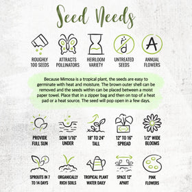 Seed Needs Mimosa pudica germination details for quick seedlings.
