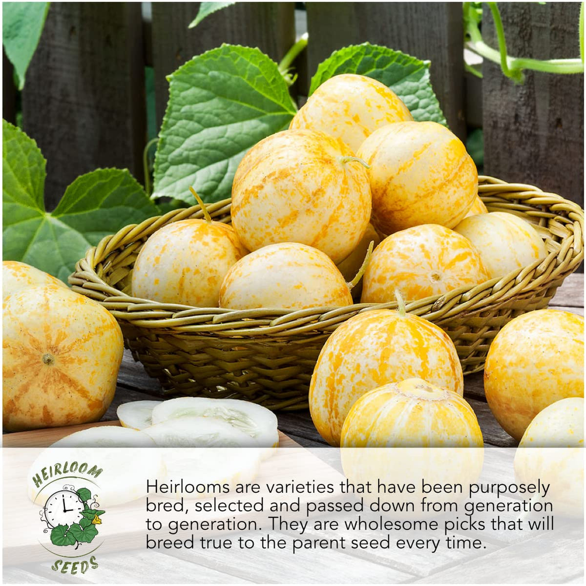 Seed Needs moisture-resistant packaging keeps seeds fresher longer.