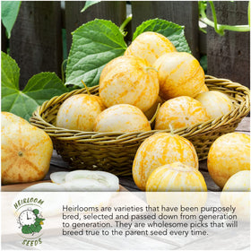 Seed Needs moisture-resistant packaging keeps seeds fresher longer.
