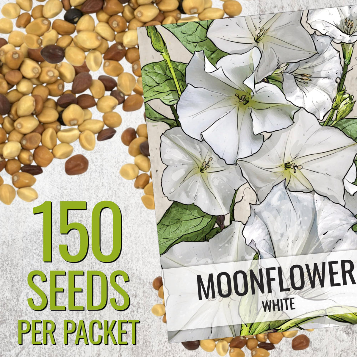 Seed Needs Moonflower seeds climbing vine on a trellis, reaching 10–15 feet.