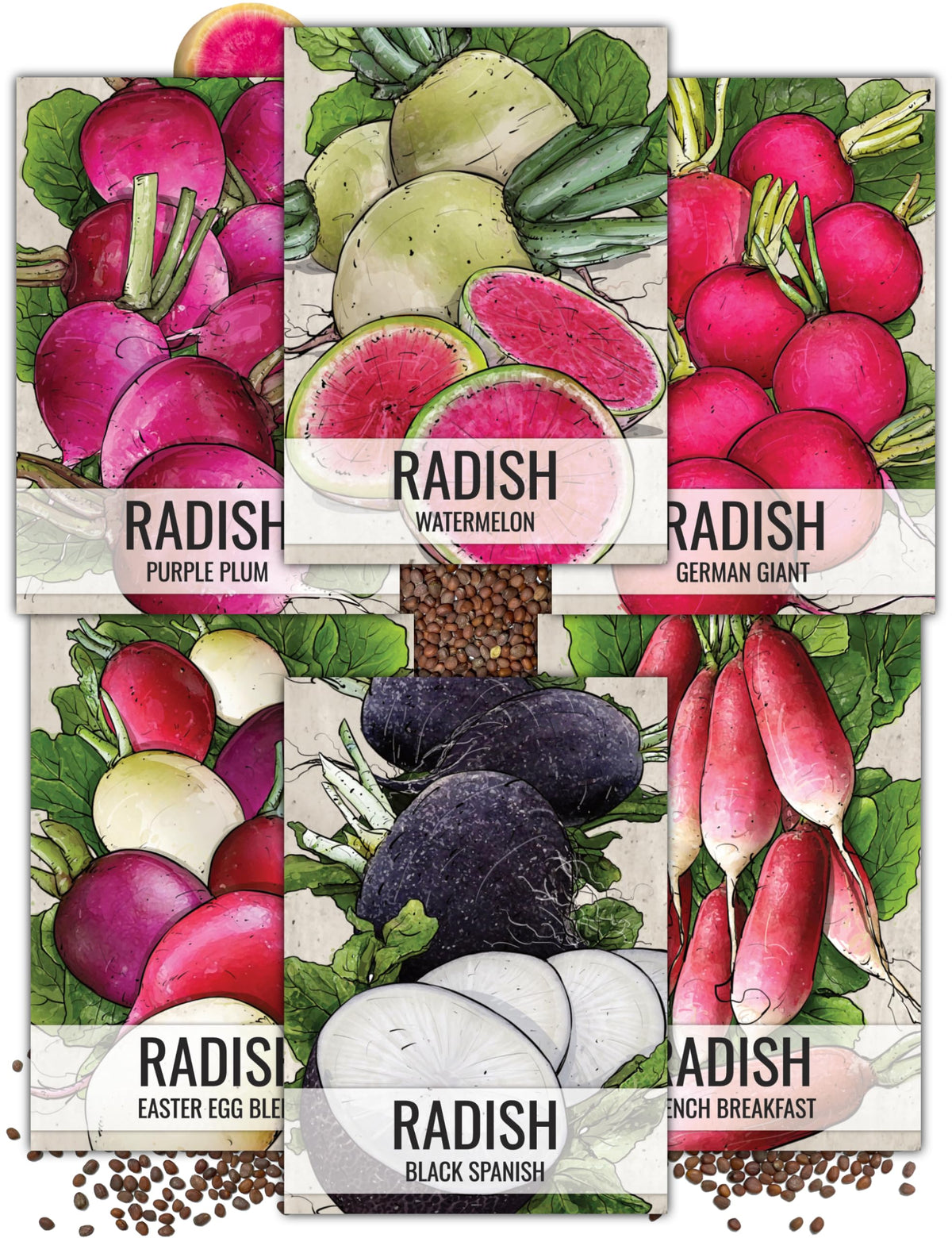 Seed Needs multicolor radish collection cover, ready for home planting.