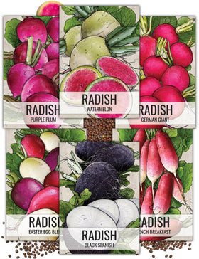 Seed Needs multicolor radish collection cover, ready for home planting.