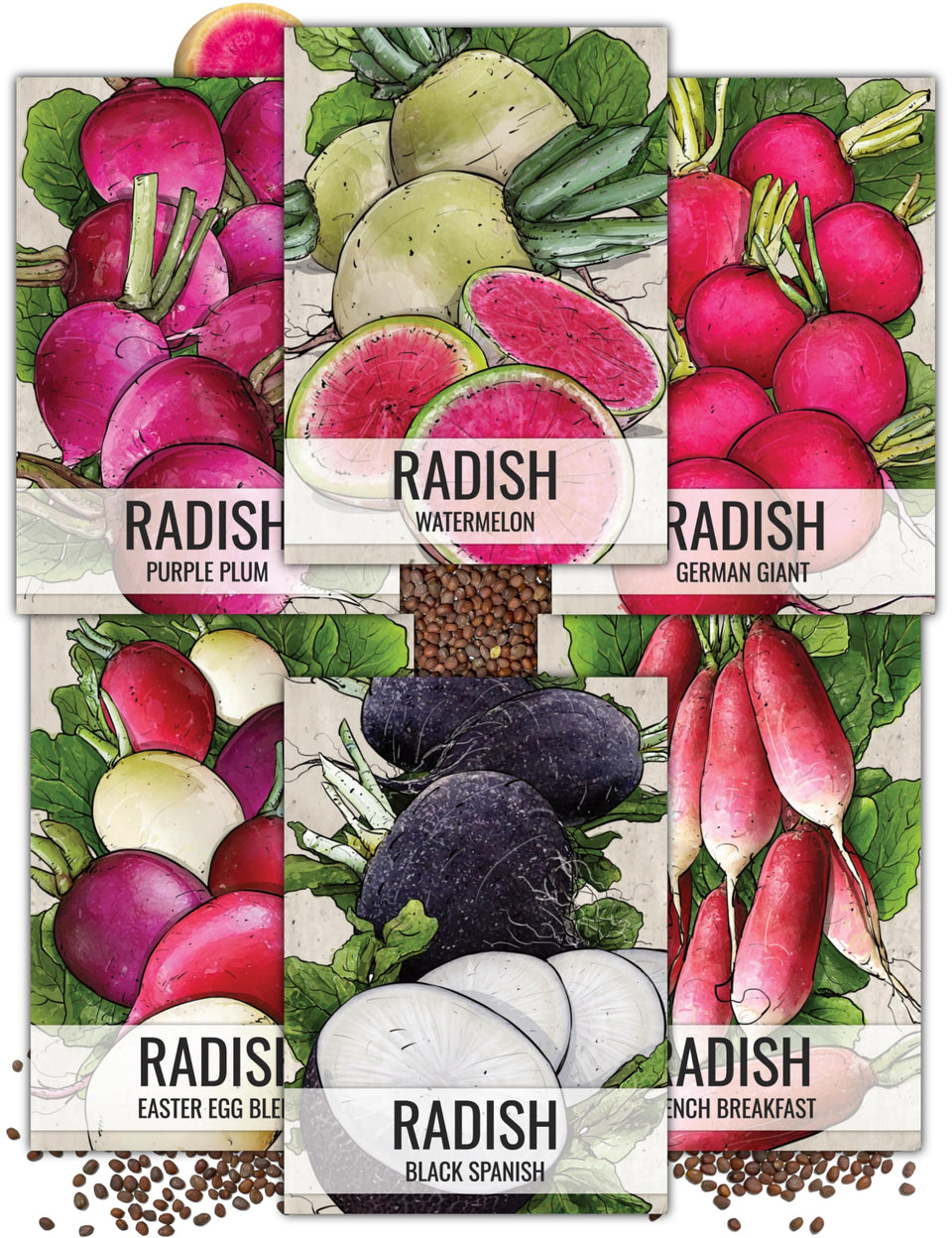 Seed Needs multicolor radish collection cover, ready for home planting.