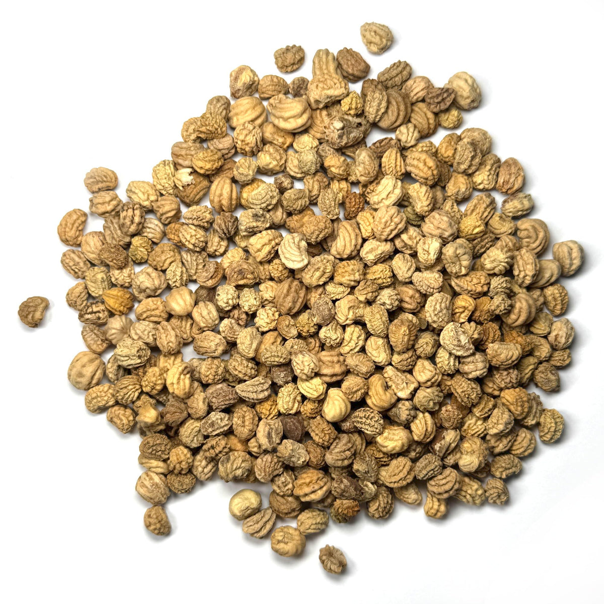 Seed Needs Black Velvet nasturtium flowers and leaves edible garnishes