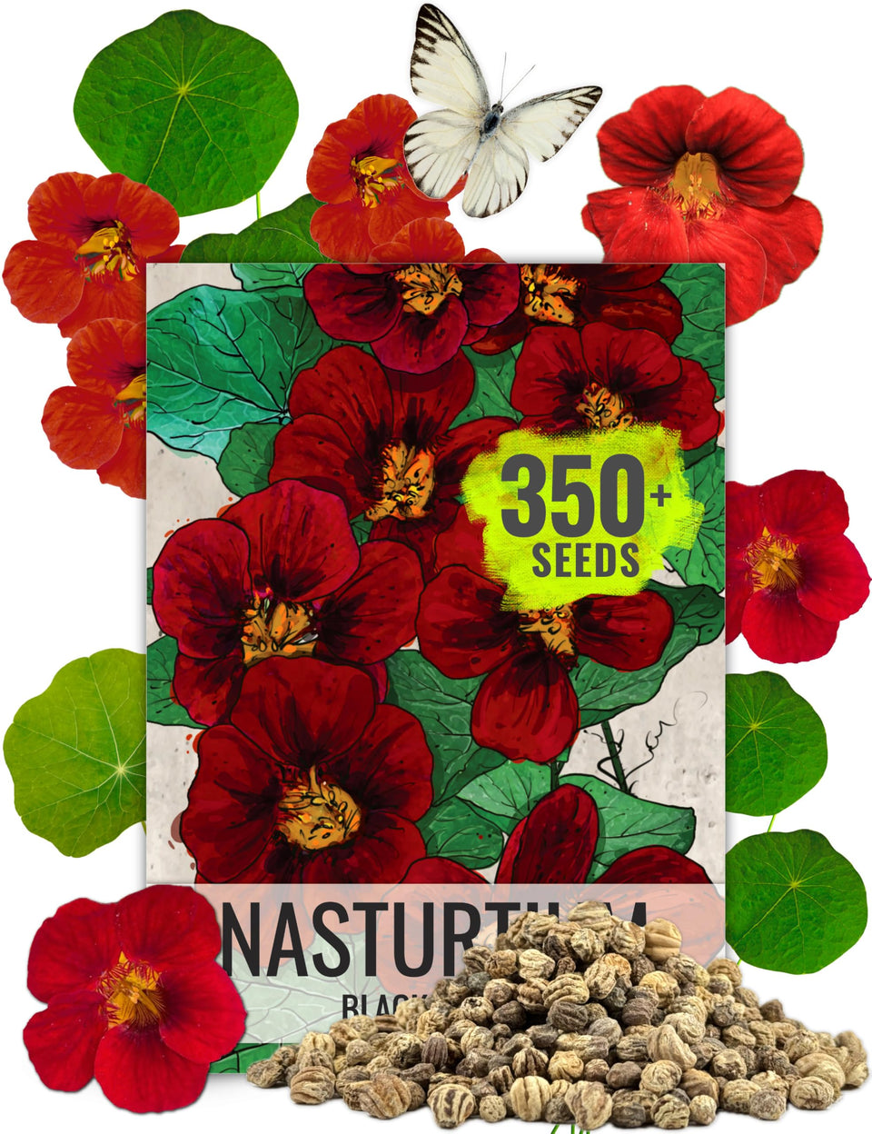 Seed Needs Black Velvet nasturtium seed pack front view for compact garden use