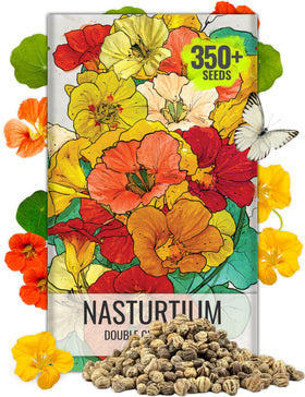Seed Needs Nasturtium Double Gleam seed packet front for easy sowing