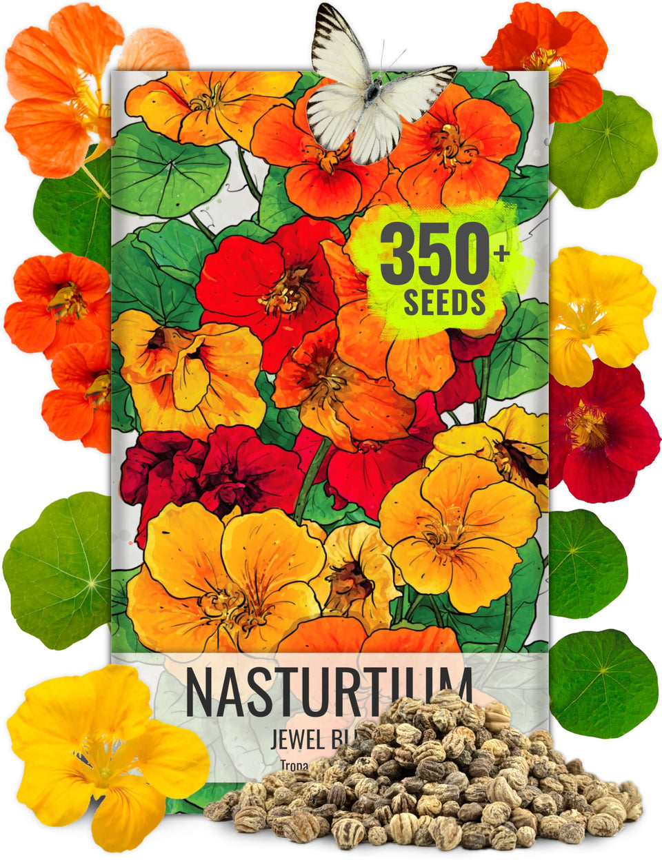 Seed Needs Nasturtium Jewel mix flowers brighten borders with vibrant red, yellow, and orange tones.