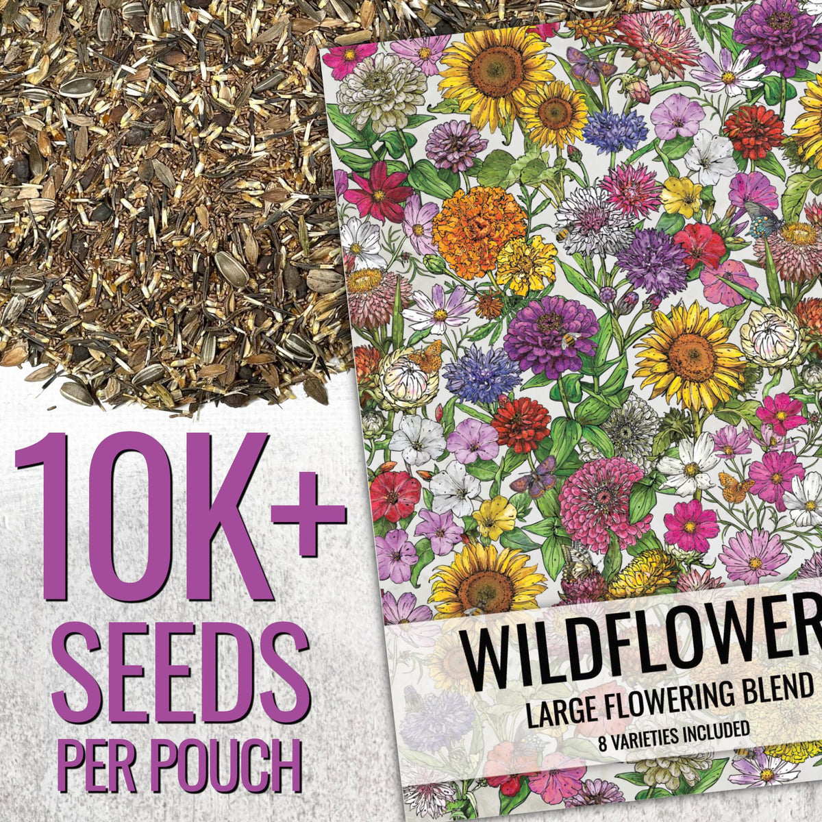 Seed Needs open-pollinated butterfly garden seeds ideal for attracting pollinators.