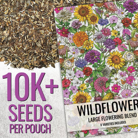 Seed Needs open-pollinated butterfly garden seeds ideal for attracting pollinators.