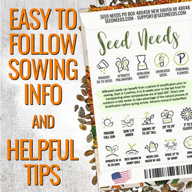Seed Needs orange butterfly milkweed seeds pack offers vibrant blooms for garden color.