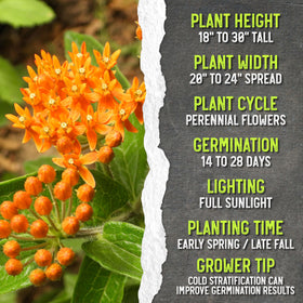 Seed Needs orange milkweed seeds packaging emphasizes freshness and storage