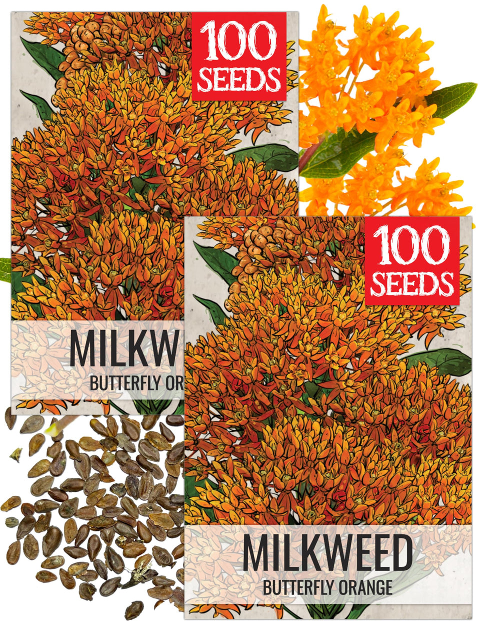 Seed Needs orange milkweed seeds packet front for monarch garden planning