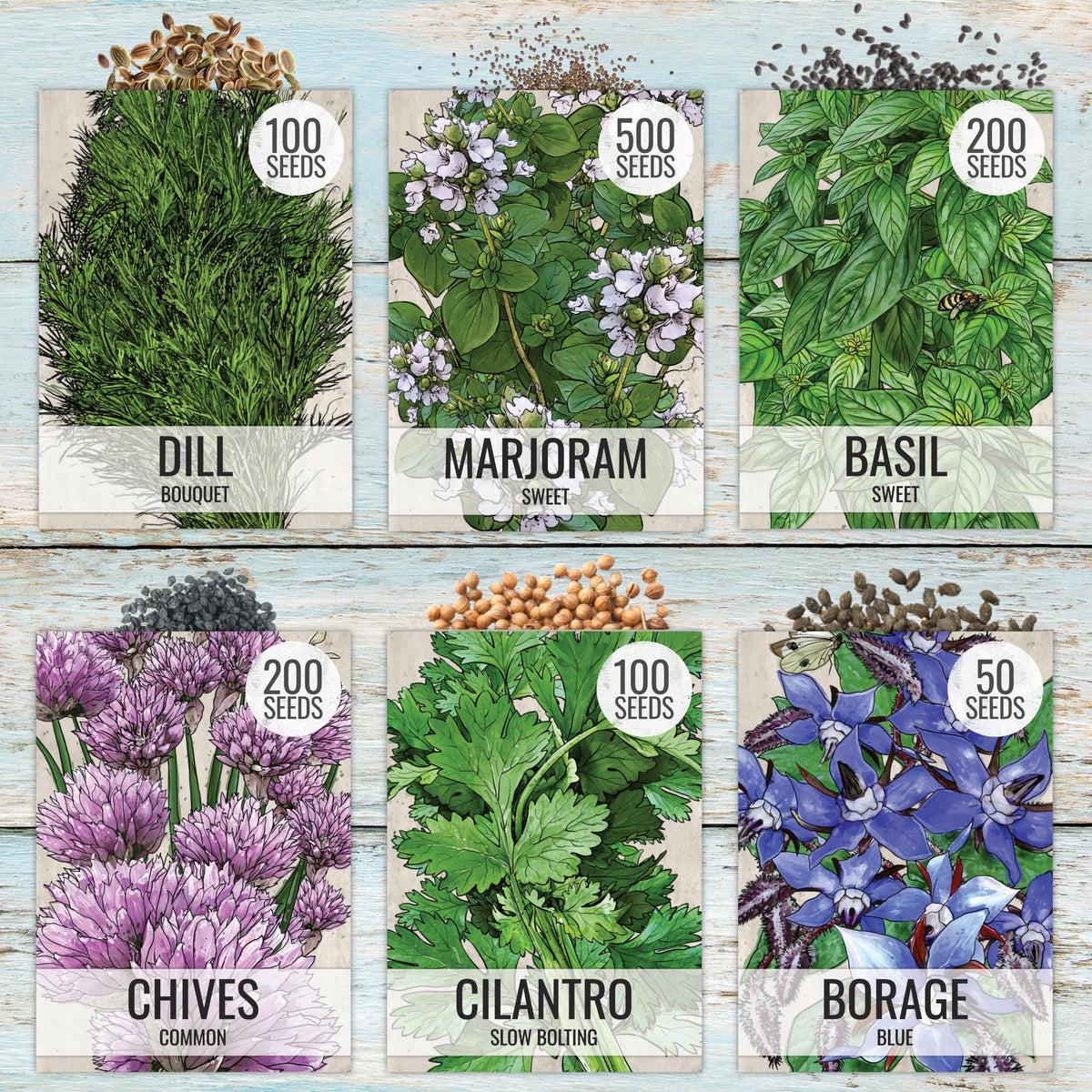 Seed Needs oregano seeds pack for Mediterranean dishes