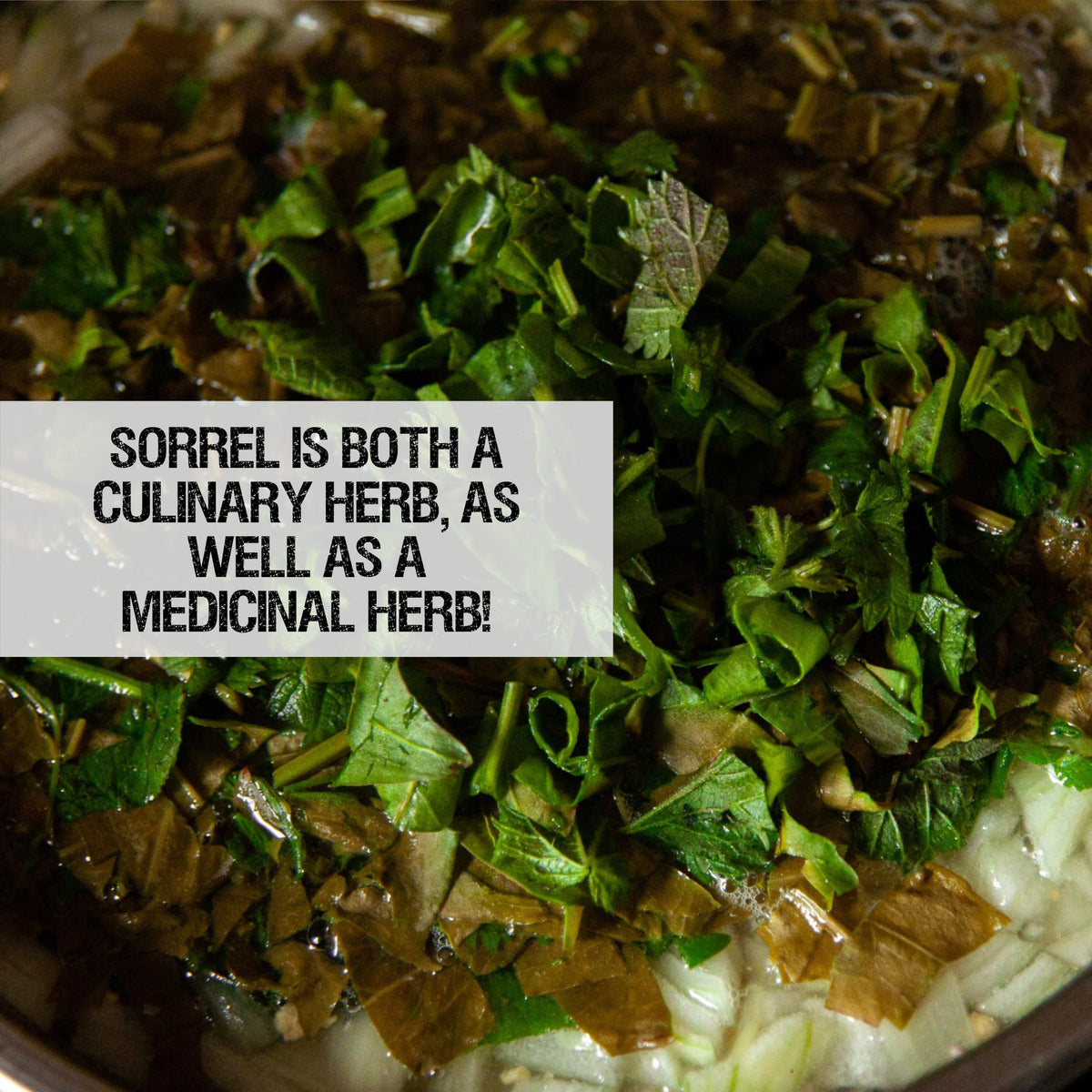 Seed Needs packaging; tear-resistant, moisture-resistant seed packets preserve freshness.