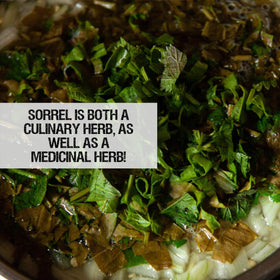 Seed Needs packaging; tear-resistant, moisture-resistant seed packets preserve freshness.