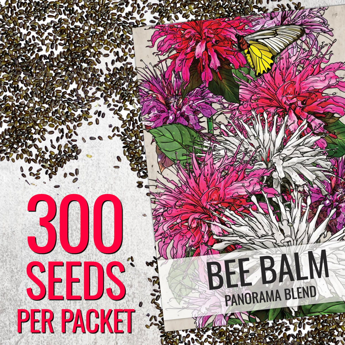 Seed Needs Panorama Mixed Bee Balm flowers close-up with pink, white and red blooms