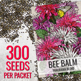 Seed Needs Panorama Mixed Bee Balm flowers close-up with pink, white and red blooms
