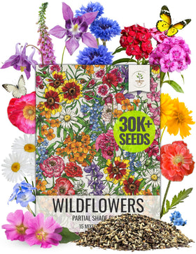Seed Needs partial shade wildflower seed pack; ideal for shade garden color.