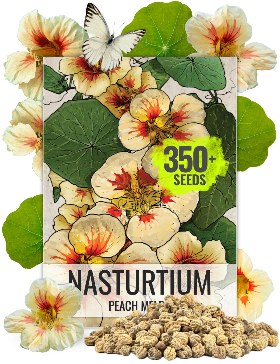 Seed Needs Peach Melba nasturtium seeds with vibrant peach blooms for edible garnishes and bright containers.