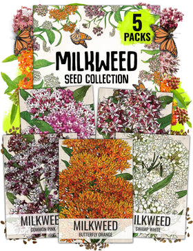 Seed Needs pink swamp milkweed seeds pack to attract monarchs and pollinators.