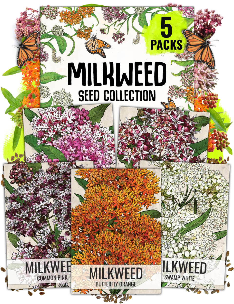 Seed Needs pink swamp milkweed seeds pack to attract monarchs and pollinators.