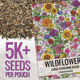 Seed Needs pollinator garden attracts butterflies and bees with open-pollinated seeds.
