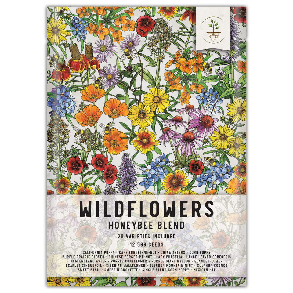 Seed Needs pollinator seed mix honey bee blend blooms for pollinators