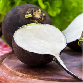 Seed Needs radish varieties label showcases six color options for planting.