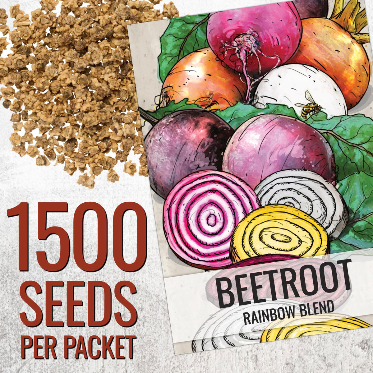 Seed Needs Rainbow Beet Seeds garden bed image highlights easy planting and harvest potential
